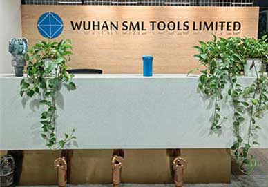 Video giới thiệu SML