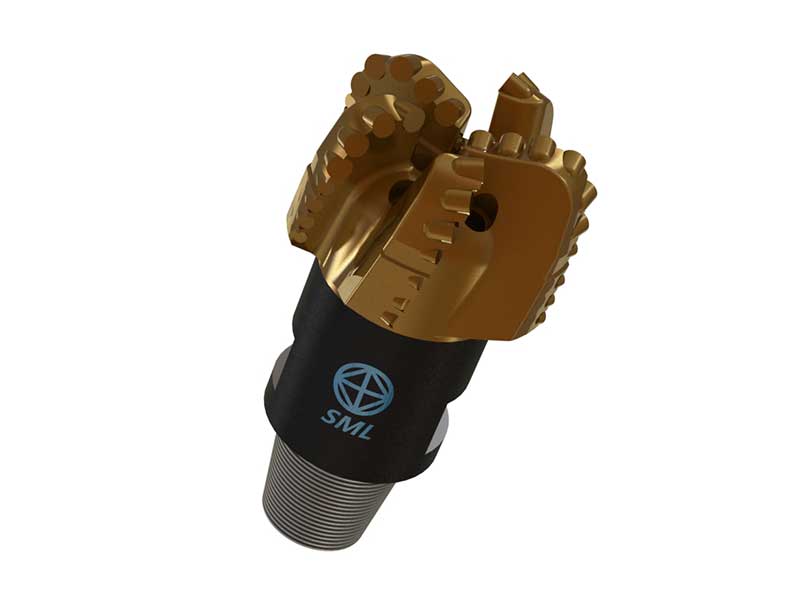 Cấu trúc và đặc điểm của bit PDC là gì?